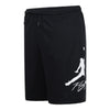 Youth Jordan HBR Baseline Shorts (95D101 023)