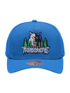 M&N Team Colour Pro Pinch Snapback - Minnesota Timberwolves