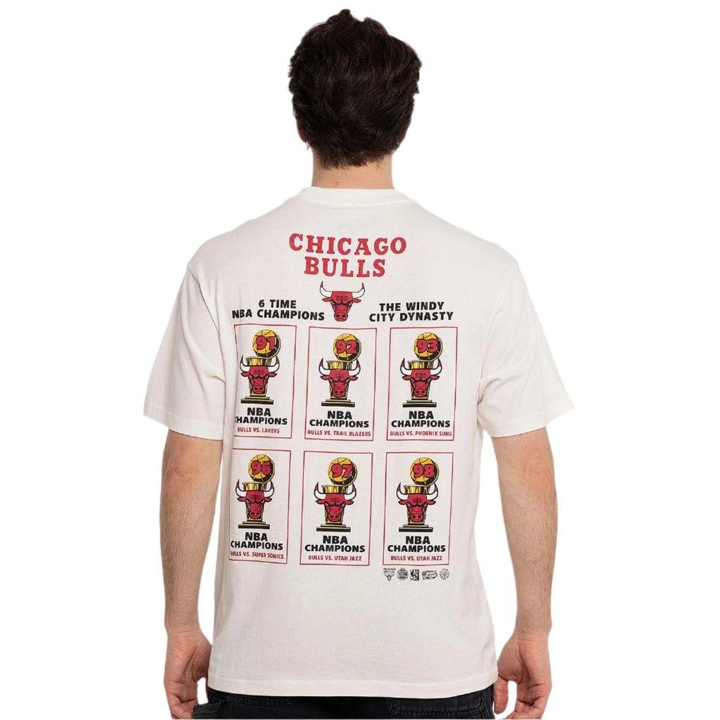 M&N Stadium Banner Tee - Chicago Bulls (Vintage White)